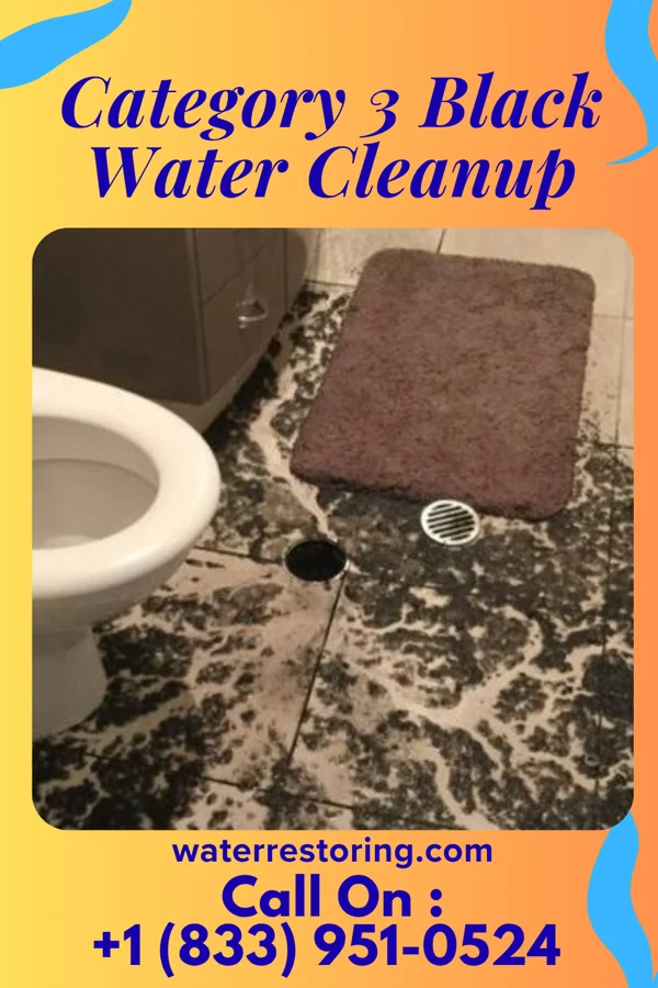 Category 3 Black Water Cleanup in Navy Yard City, WA