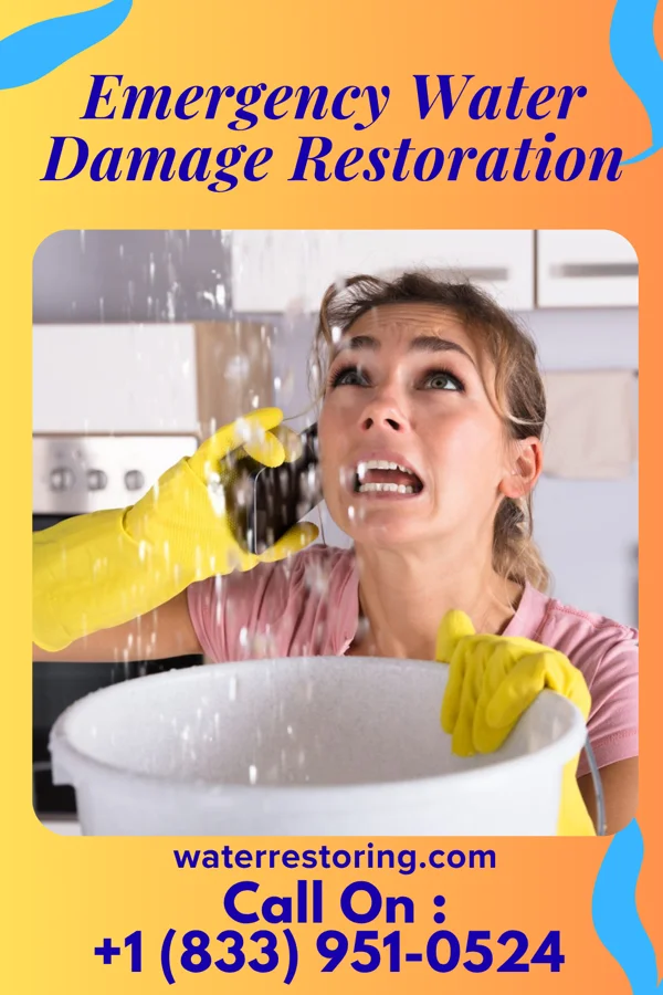 Emergency Water Damage Restoration in Navy Yard City, WA