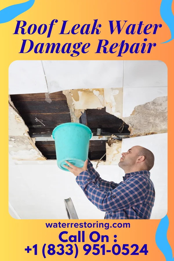 Roof Leak Water Damage Repair in Navy Yard City, WA